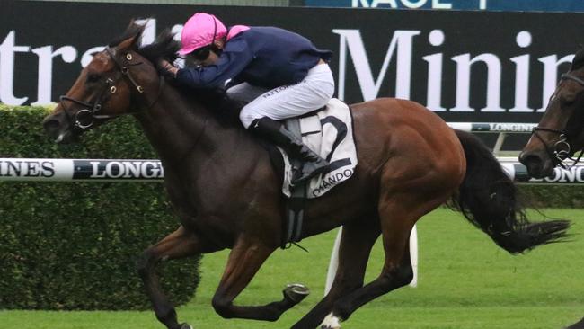 Holyfield foiled a big plunge at Randwick on Sunday. Picture: Grant Guy