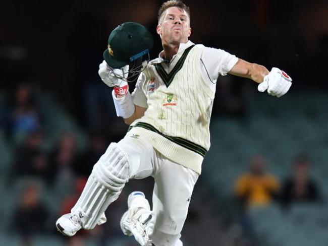 David Warner celebrated reaching three figures in his customary style.