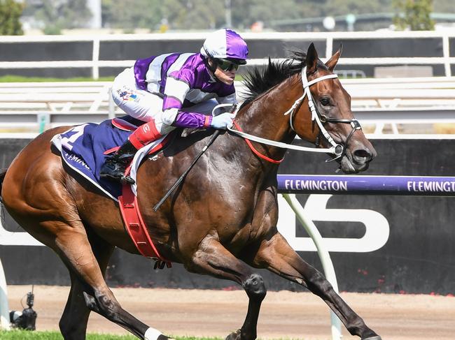 Riff Rocket ridden by Craig Williams wins the CS Hayes Stakes at Flemington Racecourse on February 17, 2024 in Flemington, Australia. (Photo by Brett Holburt/Racing Photos via Getty Images)