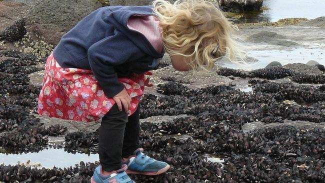 Kids Summer By the Sea activities from far South West right through to East Gippsland in Jan.