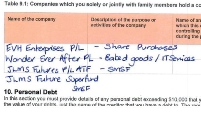 Melina Sehr's original personal interest return from September 2024. Picture: Stonnington Council