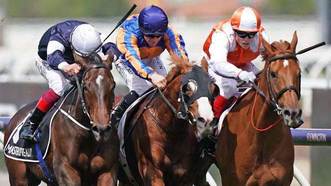 Vow and Declare’s Melbourne Cup victory completed a stunning multibet for one punter.