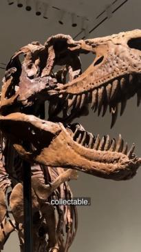 The rich are collecting dinosaur bones for extreme prices