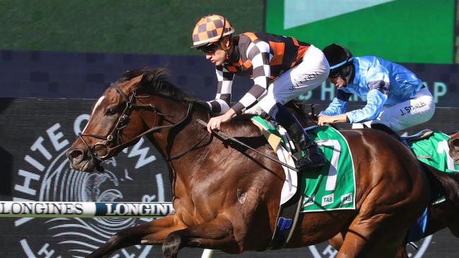 Fawkner Park heads to the JRA Plate in winning form. Picture: Grant Guy