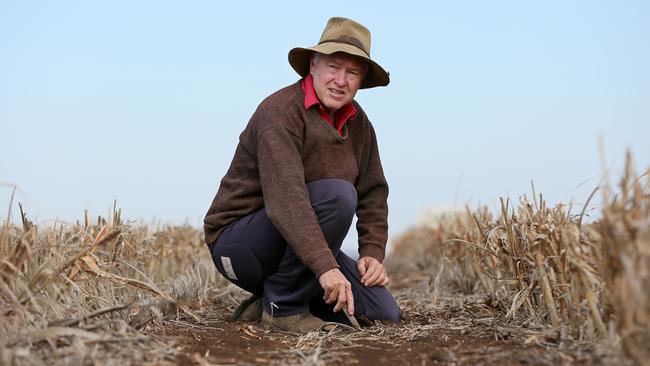 NSW Farmers president Xavier Martin. Picture: Paul Mathews