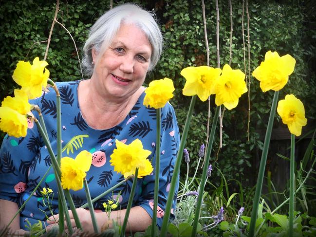 Torquay's Anne Johnson shares her cancer story ahead of Daffodil Day on August 28. picture: Glenn Ferguson