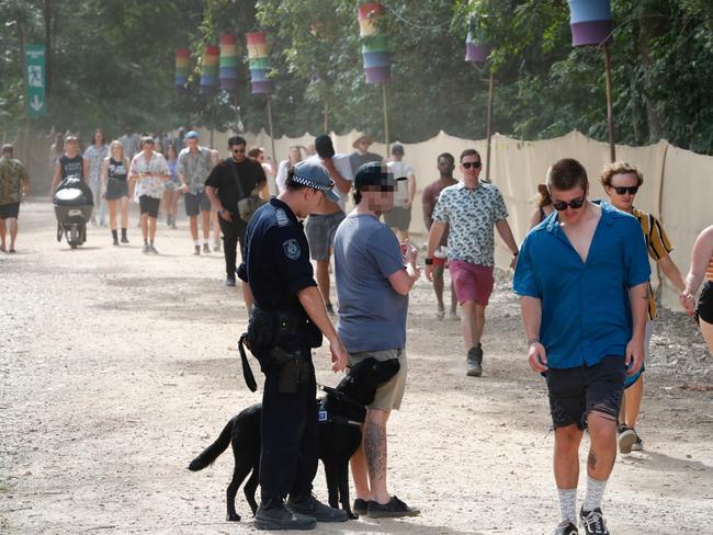 Police with sniffer dogs search people at Falls Festival at Byron Bay.