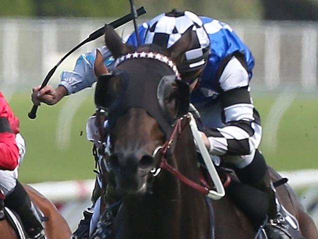 Mongolian Wolf ridden by Darren Weir wins the Mostyn Copper Group Frank Packer Plate race during the All Aged Stakes Day at Randwick Racecourse in Sydney, Saturday, April 15, 2017. (AAP Image/Craig Golding) NO ARCHIVING, EDITORIAL USE ONLY