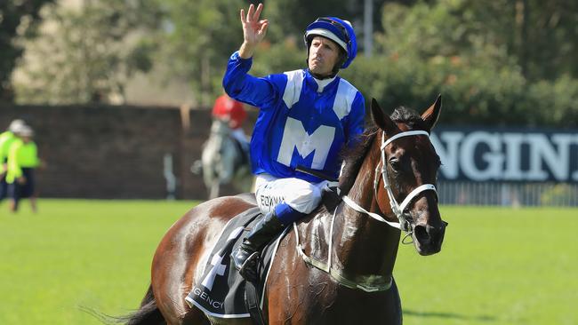 Winx will aim to equal Black Caviar’s mark of 25 straight wins on Saturday in the Queen Elizabeth Stakes at Royal Randwick. Picture: Getty Images