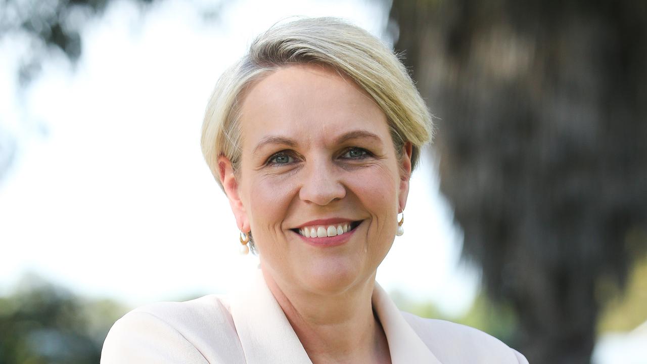 Plibersek overtakes PM to be top polling Labor MP