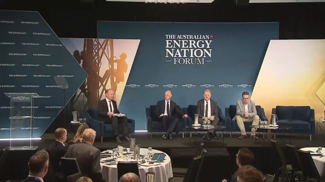 The Australian Energy Nation Forum: Panel discussion -  The Many Paths to Net Zero