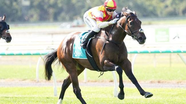 Coco Sun ridden by Jaylah Kennedy wins the IMMIX, Metal Recycled Right BM70 Handicap at Bendigo Racecourse on April 13, 2024 in Bendigo, Australia. (Photo by Scott Barbour/Racing Photos via Getty Images)