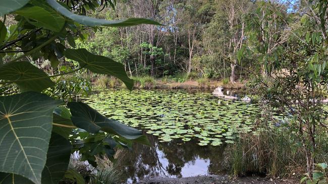 A nice walking track in Gold Coast suburbia, around Molendinar. For Backyard Tourist. Picture: Amanda Robbemond