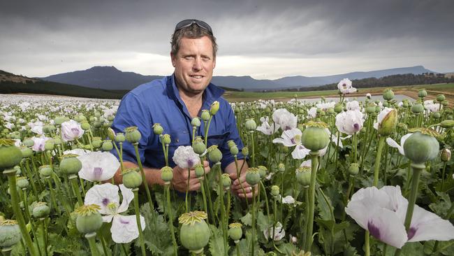 Tom Green of The Glen farm among flowering poppies at Cressy. Picture: Chris Kidd