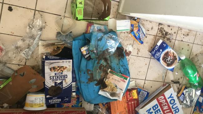 Some 25 pets were found living in filthy conditions in a Caboolture home as their owner struggled to care for them, as well as her ailing mother. Picture: RSPCA