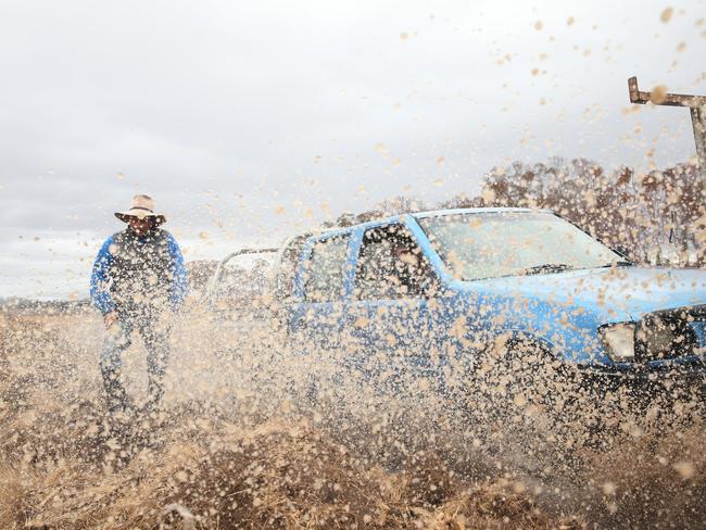 The rain was a welcome relief for NSW farmers. Picture: Peter Lorimer