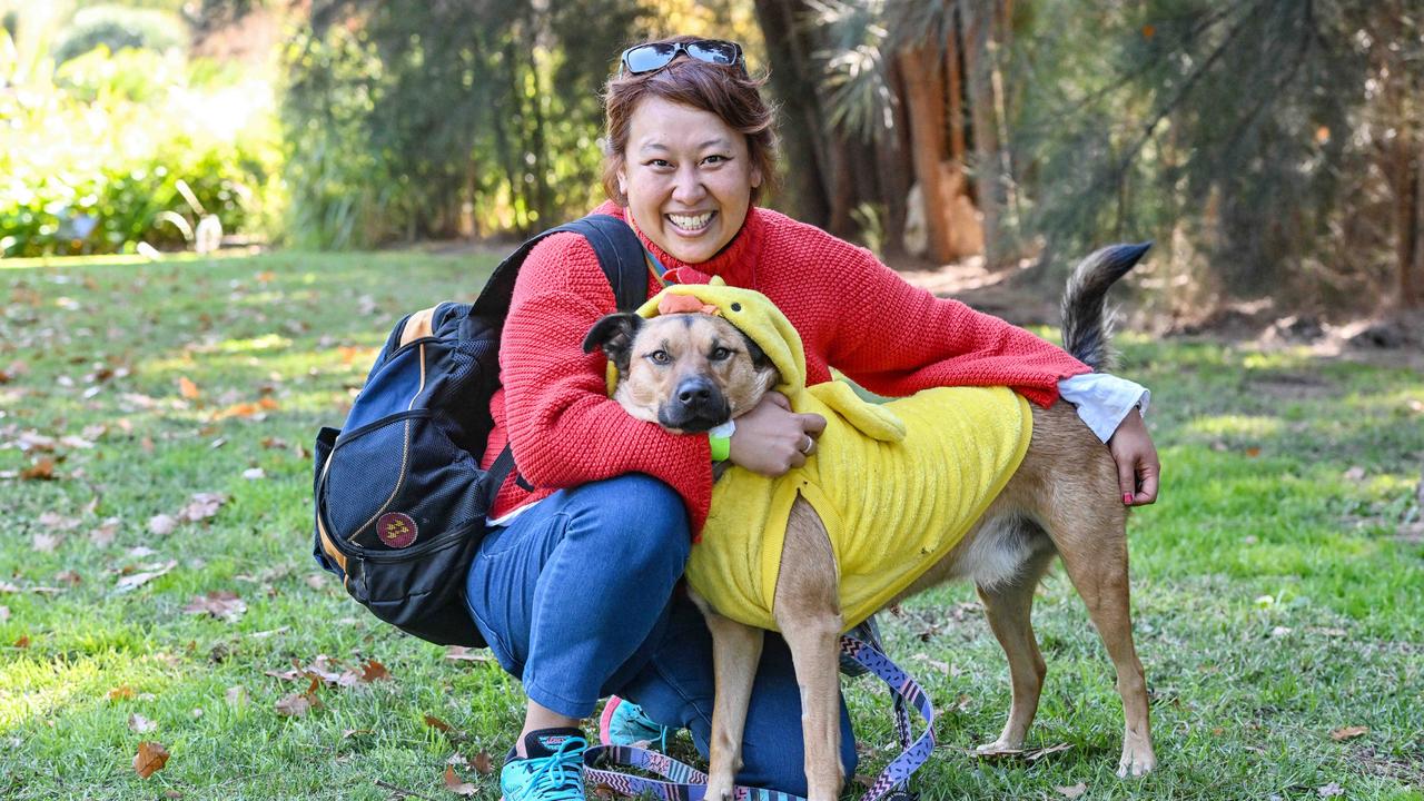 Gallery - RSPCA SA’s Million Paws Walk 2024 | The Advertiser