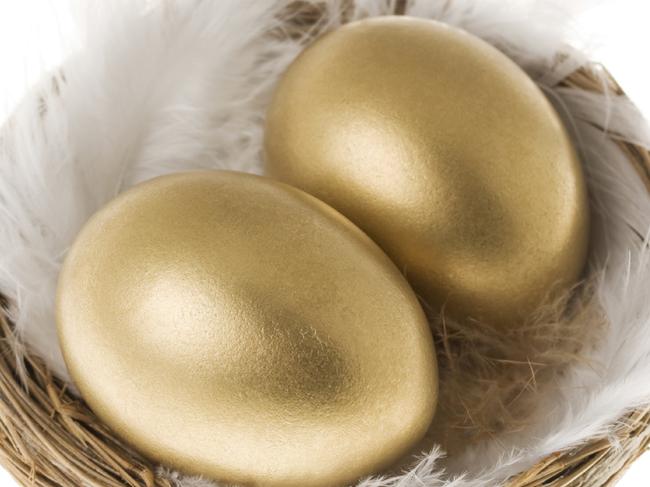 Two gold eggs in a nest of feathers isolated on white background.  Focus is on the left front egg.