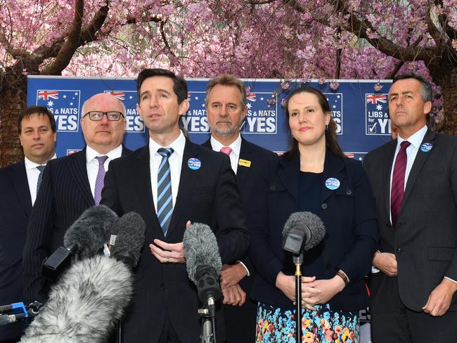 Minister for Education Simon Birmingham speaks at the Coalition Parliamentarians for 'Yes' launch at Parliament House in Canberra. Picture: AAP