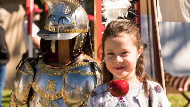 Abbey Medieval Festival.