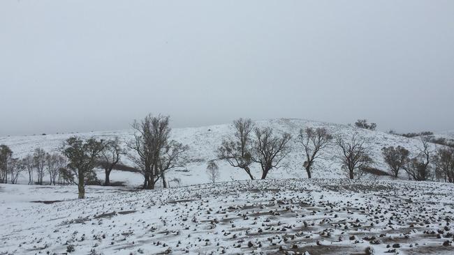 Snowfall at Skytrek Willow Springs Station in the Flinders Ranges on August 7. Picture: Skytrek Willow Springs Station