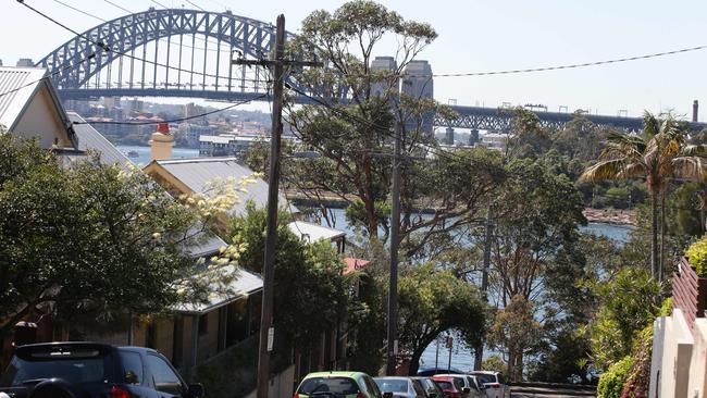 Balmain East has a tree-canopy cover of between 16-25 per cent.