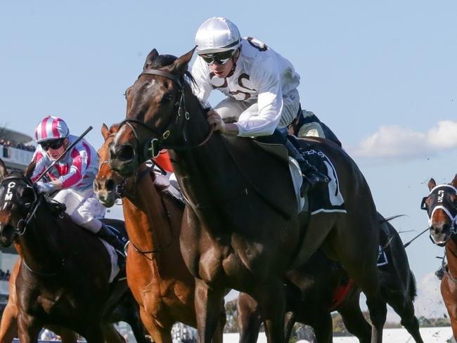 Lunar Flare ridden by Michael Dee wins the The Lexus Bart Cummings at Flemington Racecourse on October 01, 2022 in Flemington, Australia. (Photo by George Sal/Racing Photos via Getty Images)