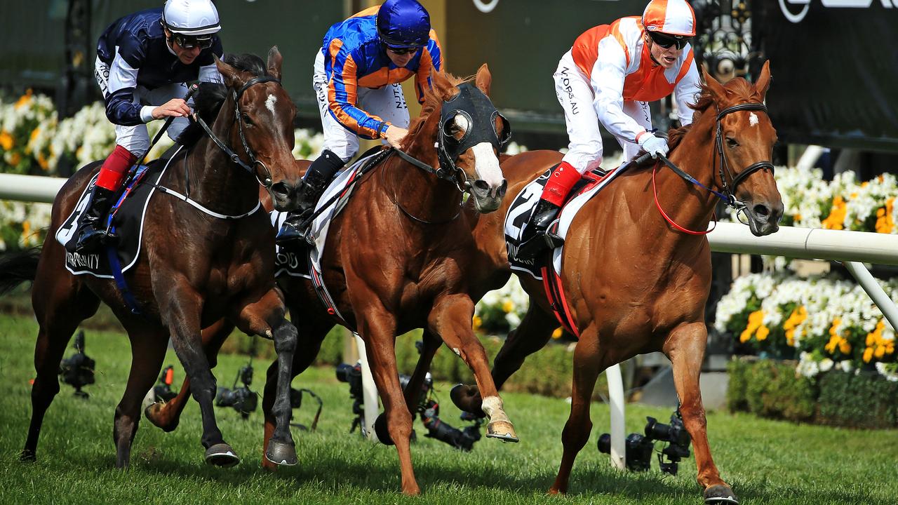 Craig Williams hits the finish line on Vow and Declare. Picture: Mark Stewart