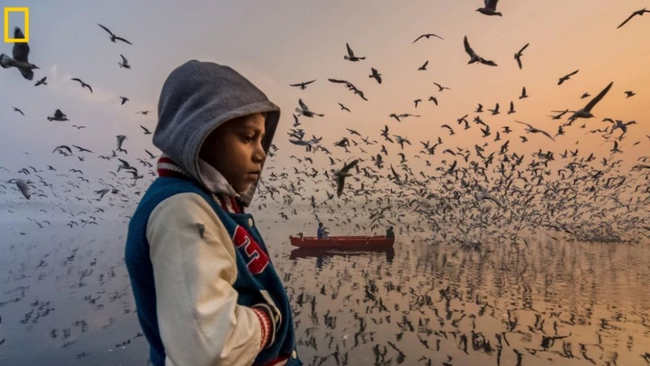 This moment was captured during sunrise along the banks of the Yamuna River in Delhi, India. This boy was thinking silently, and visitors were enjoying the loud musical chirping of thousands of seagulls. Picture: Navin Vatsa /National Geographic Travel Photo Contest