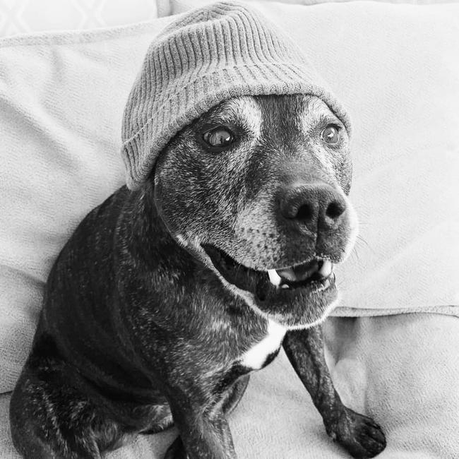 Tilly is unleashing her inner hipster. Submitted by Simone Keates.