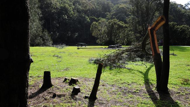 McCarrs Creek Reserve in Church Point where the gatherings have been occuring.