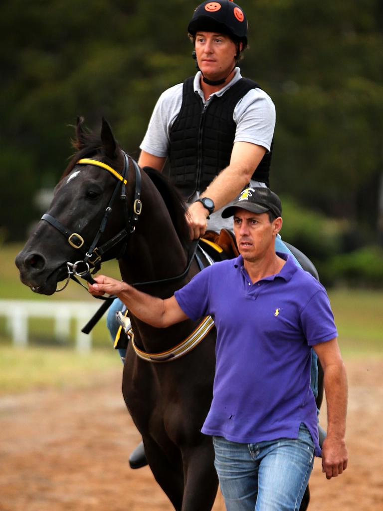 Trainer Marc Quinn and His Country Championships H