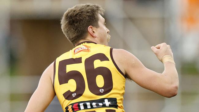 MELBOURNE, AUSTRALIA - AUGUST 13: Fergus Greene of the Hawks celebrates a goal during the round 21 VFL match between Box Hill and Geelong at Box Hill City Oval on August 13, 2022 in Melbourne, Australia. (Photo by Jonathan DiMaggio/AFL Photos/via Getty Images)