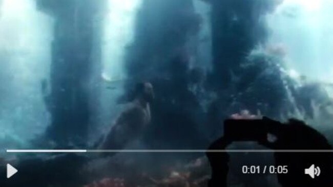 Test footage filmed on February 27 and shared online by Justice League director and Aquaman producer Zack Snyder shows a fishtailed Jason Momoa swimming along the ocean floor.