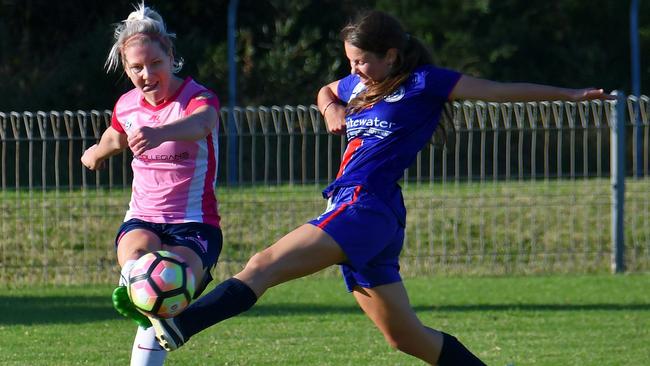 Club veteran Caitlin Cooper for the Illawarra Stingrays. Photo: Contributed