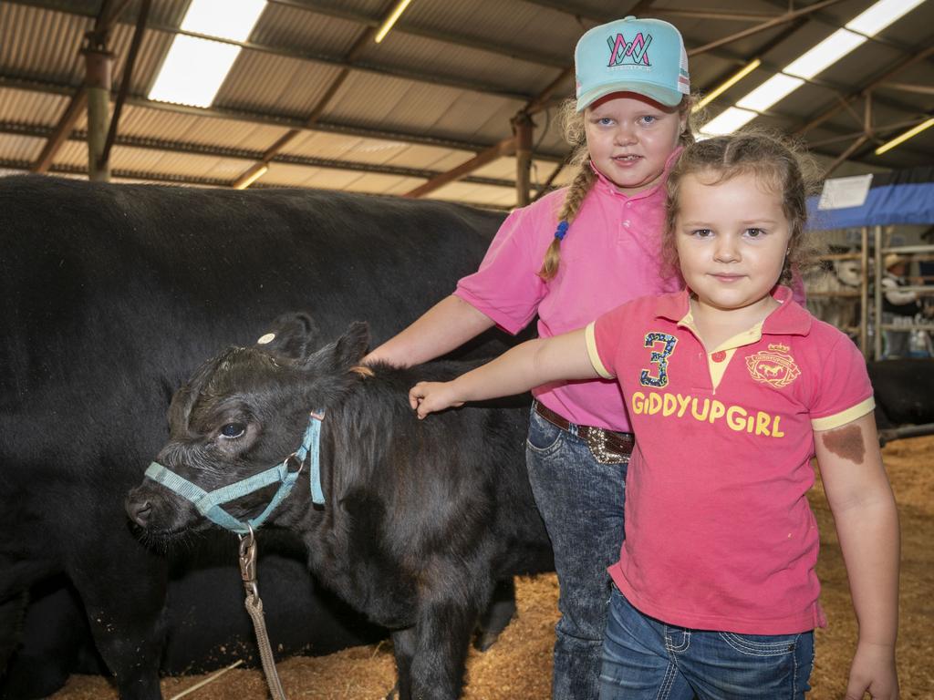 Macie (5yo) and Wyatt (8yo) Iseppi with a calf from the Leeda Stud at the 2022 Toowoomba Royal Show. Friday, March 25, 2022. Picture: Nev Madsen.