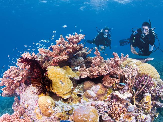 Scuba diving on the Great Barrier Reef. Picture: TTNQ