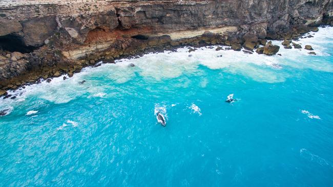 Drone footage of Bunda Cliffs in the Great Australian Bight. Picture: Greenpeace