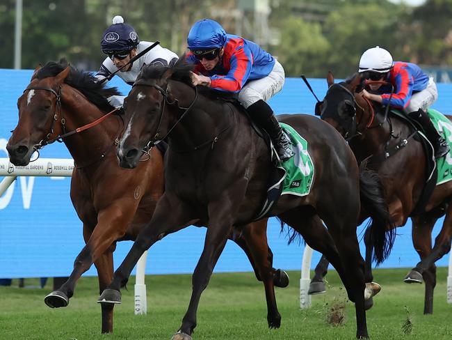 SYDNEY, AUSTRALIA - FEBRUARY 01:  James McDonald riding Yorkshire win Race 10 TAB during Sydney Racing at Rosehill Gardens on February 01, 2025 in Sydney, Australia. (Photo by Jeremy Ng/Getty Images)