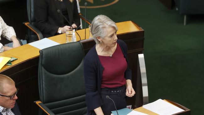 Greens leader Dr Rosalie Woodruff. Picture: Nikki Davis-Jones