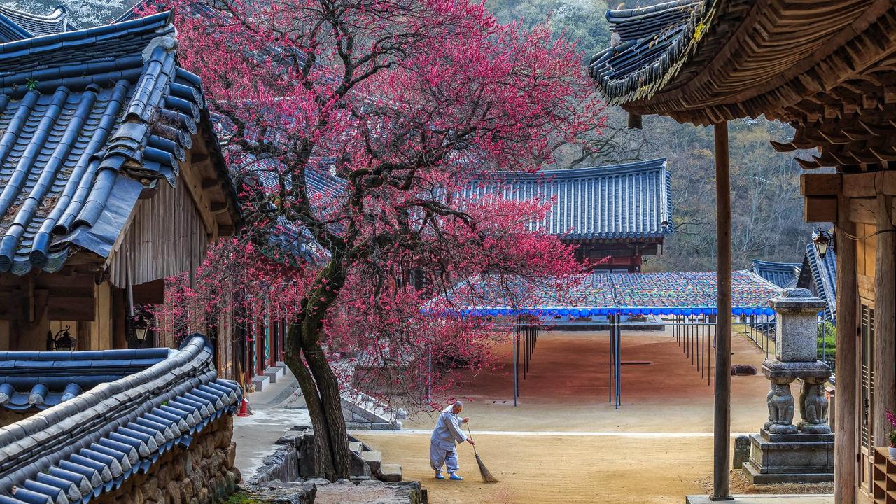 Korea has ancient wonders to explore as well as modern delights.