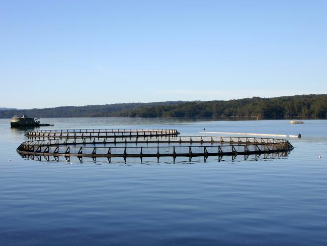 ESCAPE: QANTAS BEST KEPT SECRETS - TAS .. Fish farm in Macquarie Harbour, Strahan, Tasmania.  Picture: Supplied