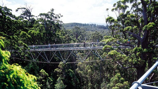 Valley of the Giants Tree Top Walk through the ancient tingle forests of Walpole in WA have been closed due to a bushfire burning out of control in the area.