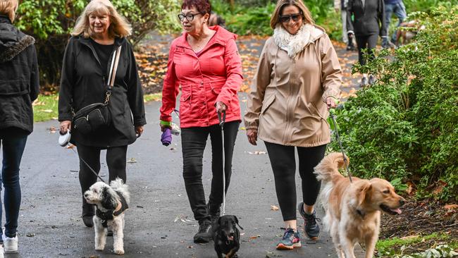 Million Paws Walk at Adelaide Botanic Gardens. Picture: Brenton Edwards