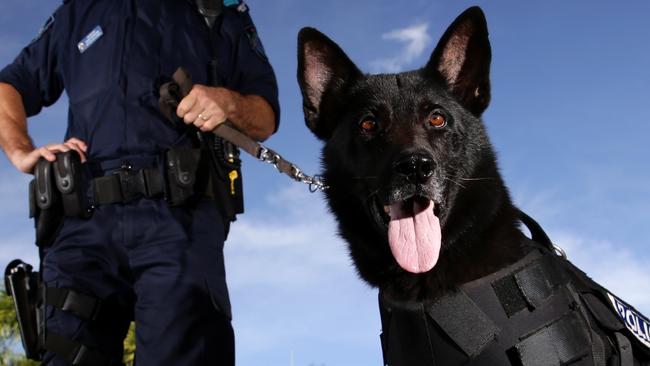 Officers from the Cairns Dog Squad located youths whom police allege forced entry into a Westcourt home on January 13 around midnight. Picture: Supplied