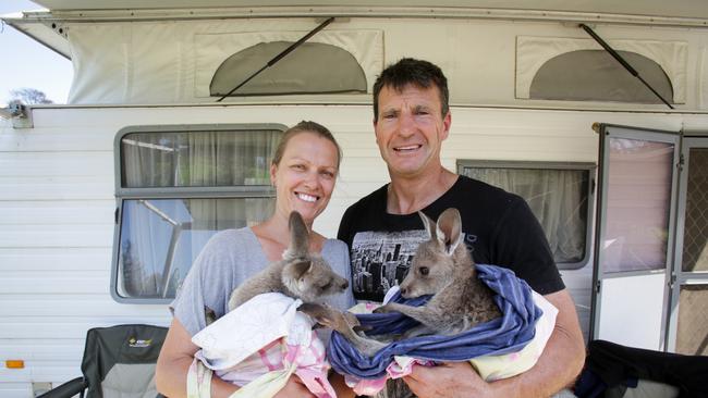 Wildlife carers Sara Tilling and Gary Henderson were reported to animal welfare authorities after putting down a badly-burnt wallaby following recent bushfires. Picture: Liam Driver