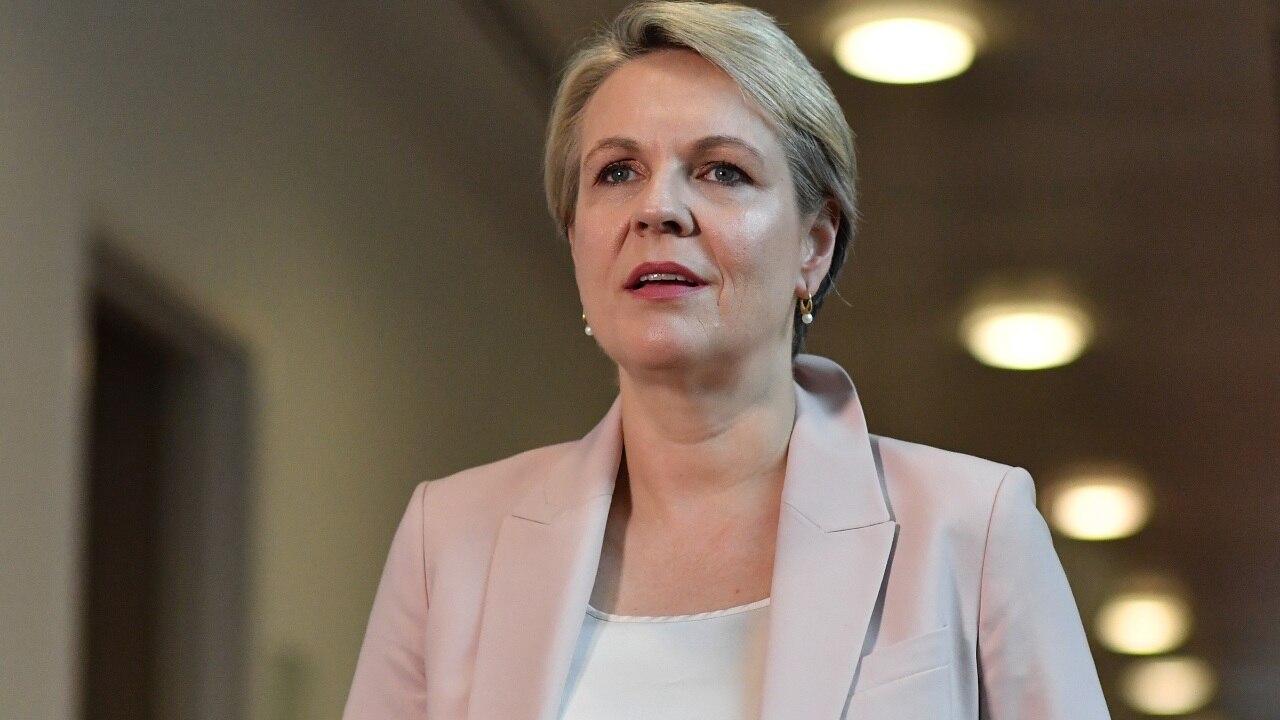 WATCH LIVE Environment Minister Tanya Plibersek reveals State of