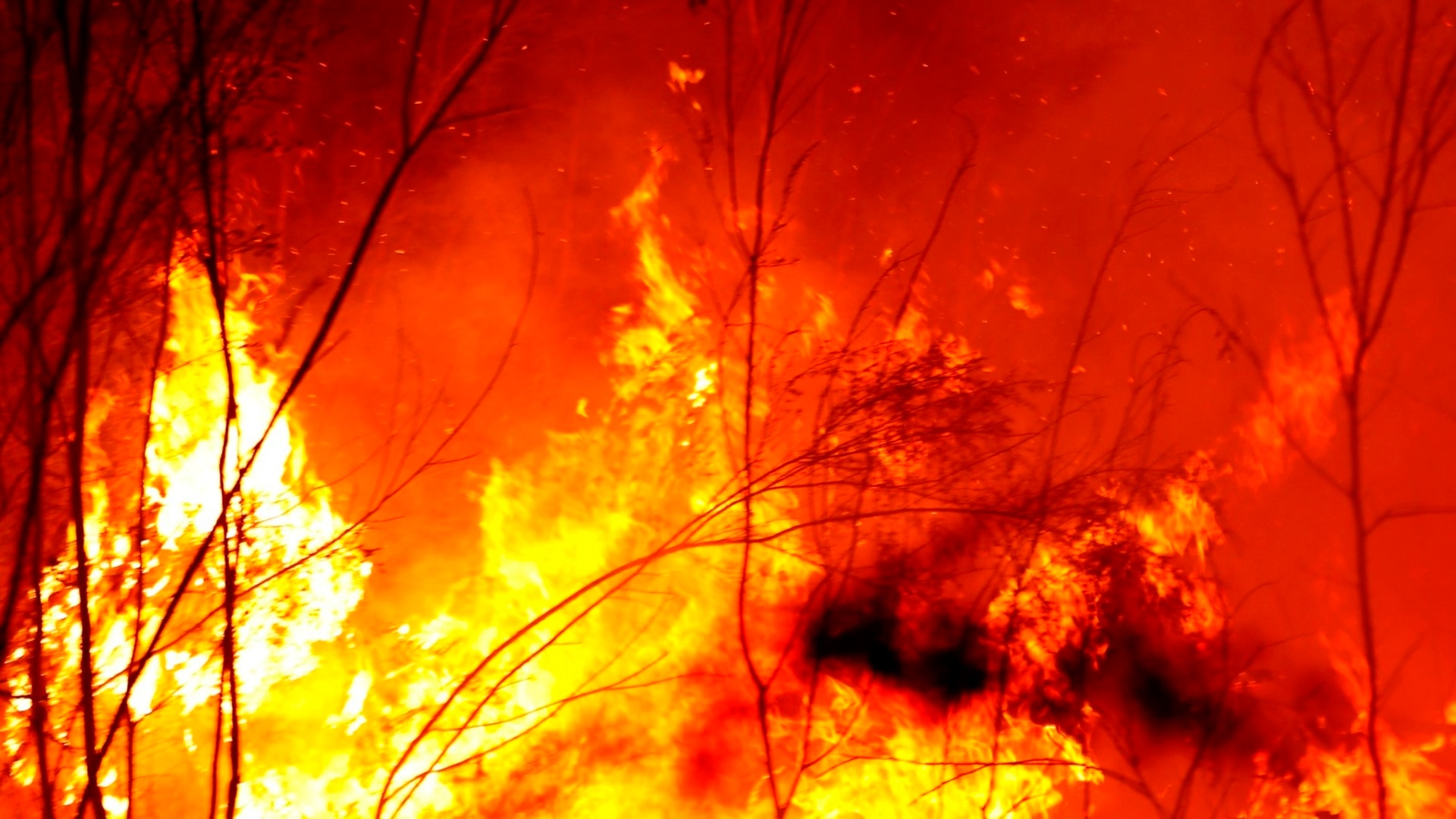 Victoria’s Grampians Bushfire Downgraded To 'watch And Act' As Flame 