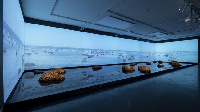 Living rocks: A Fragment of the Universe, installation by James Darling and Leslie Forwood. 2018, Hugo Michell Gallery, Adelaide, Picture: Sam Roberts.