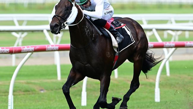 The Bevan and Richard Laming-trained crack colt Savour The Dream, with Irish jockey Martin Harley on board, wins a 1600m 3YO Handicap at Doomben this month. Picture: Grant Peters/Trackside Photography